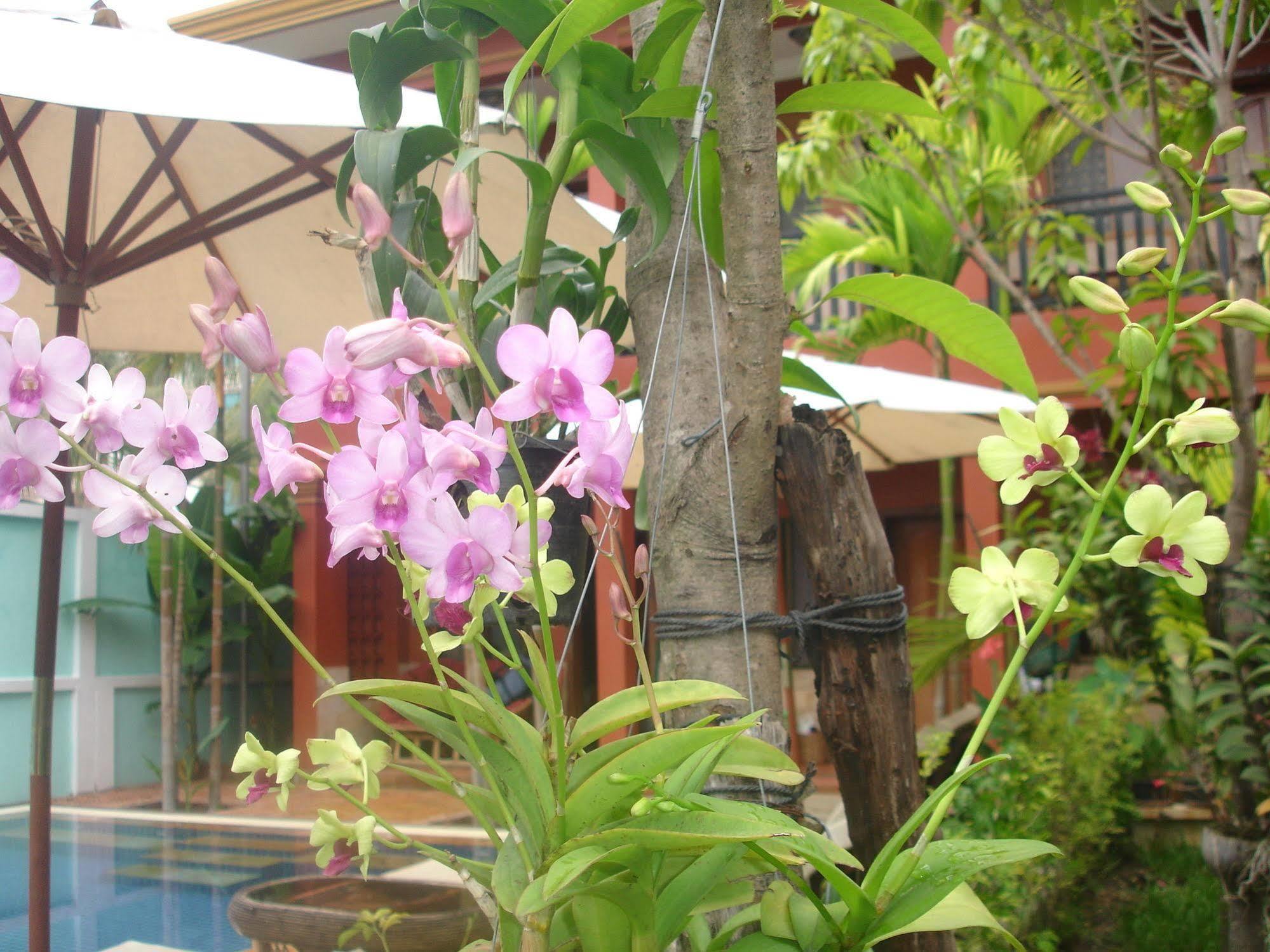 Jasmine Family Hostel Σιέμ Ρέαπ Εξωτερικό φωτογραφία